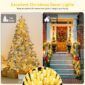 Elegant Warm White Lights For Indoor Decorations for hoilidays