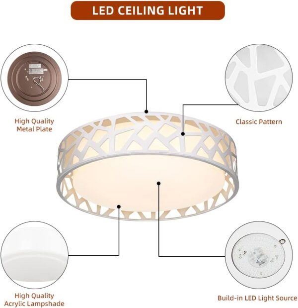 Flush Mount Light Elegant Design Ceiling Fixture 1